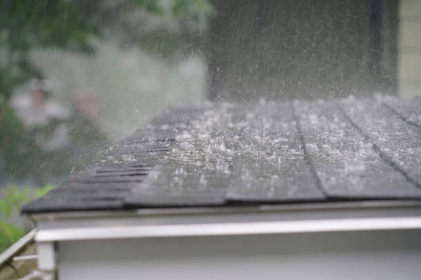 Best Metal Roofing Installation  in East Norwich, NY